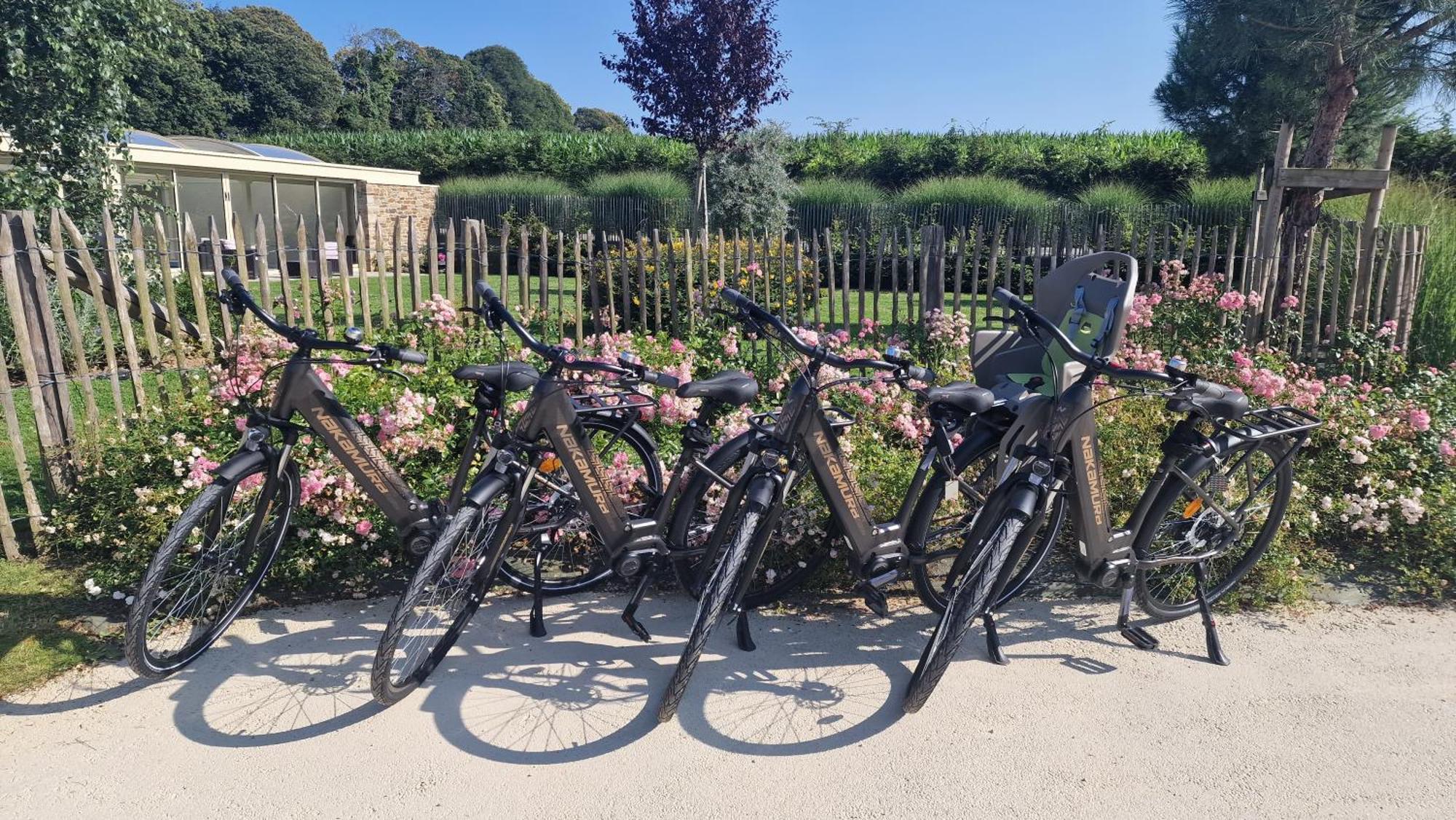 Les Gites Du Haut Pin Calorguen Bagian luar foto