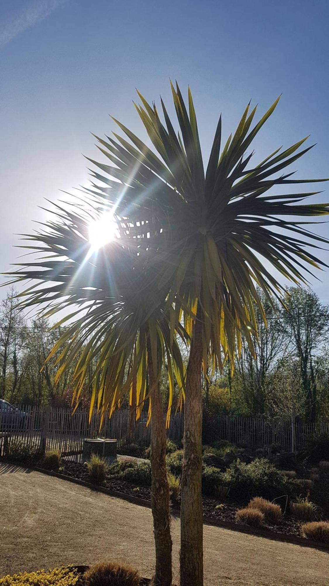 Les Gites Du Haut Pin Calorguen Bagian luar foto